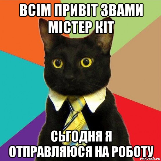 всім привіт звами містер кіт сьгодня я отправляюся на роботу, Мем  Кошечка