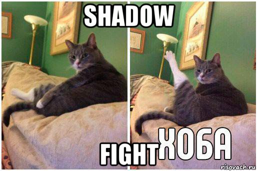 shadow fight, Комикс Кот Хоба