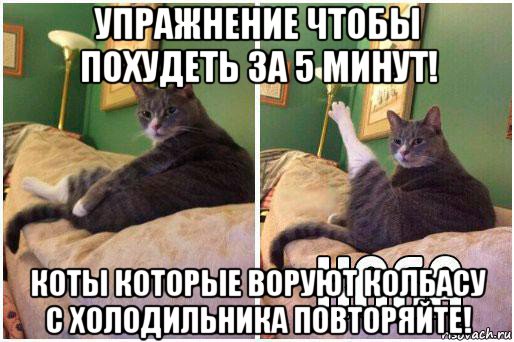 упражнение чтобы похудеть за 5 минут! коты которые воруют колбасу с холодильника повторяйте!, Комикс Кот Хоба