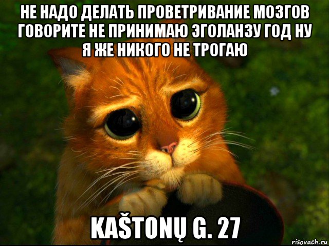 не надо делать проветривание мозгов говорите не принимаю эголанзу год ну я же никого не трогаю kaštonų g. 27, Мем кот из шрека