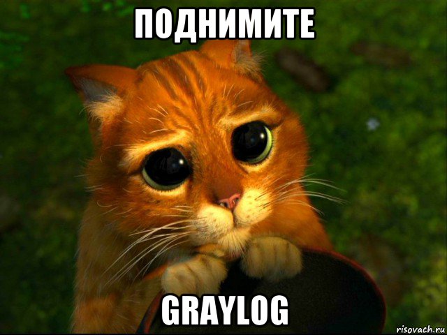 поднимите graylog, Мем кот из шрека