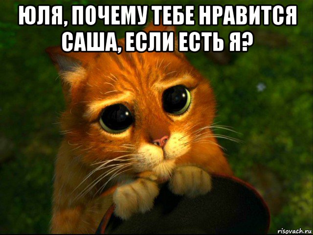 юля, почему тебе нравится саша, если есть я? , Мем кот из шрека