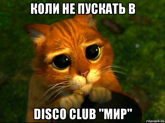 коли не пускать в disco club "мир", Мем кот из шрека