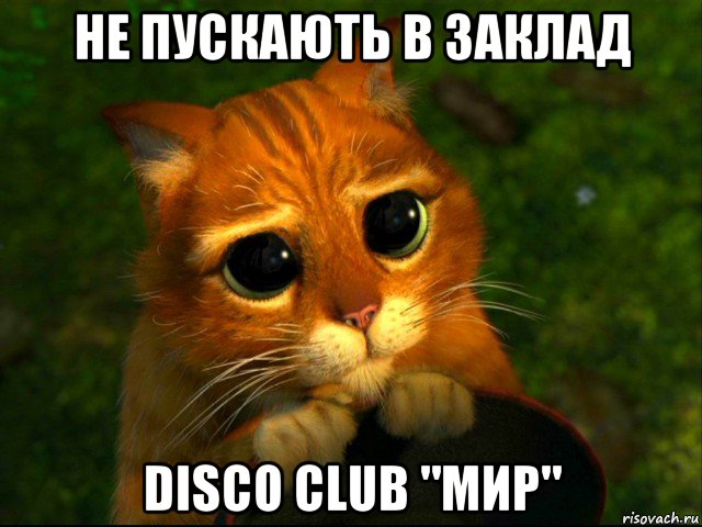 не пускають в заклад disco club "мир", Мем кот из шрека