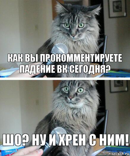 Как вы прокомментируете падение ВК сегодня? Шо? Ну и хрен с ним!, Комикс  кот с микрофоном