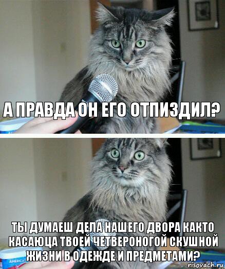 а правда он его отпиздил? ты думаеш дела нашего двора както касаюца твоей четвероногой скушной жизни в одежде и предметами?, Комикс  кот с микрофоном