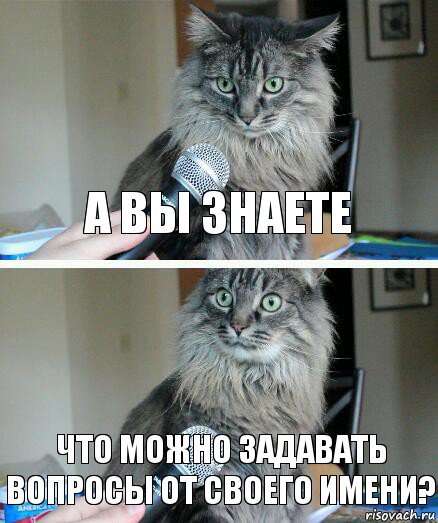 А вы знаете Что можно задавать вопросы от своего имени?, Комикс  кот с микрофоном