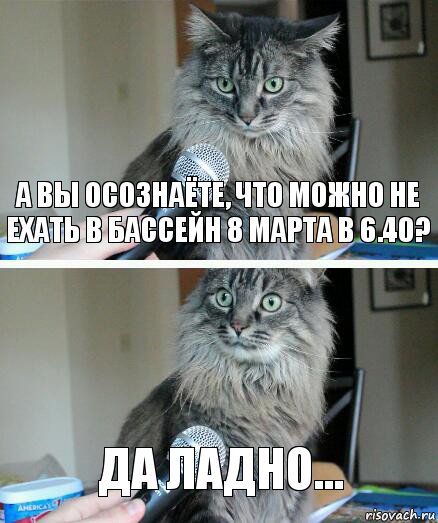 а вы осознаёте, что можно не ехать в бассейн 8 марта в 6.40? да ладно..., Комикс  кот с микрофоном