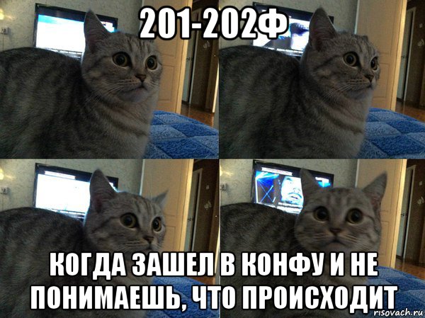 201-202ф когда зашел в конфу и не понимаешь, что происходит, Мем  Кот в шоке