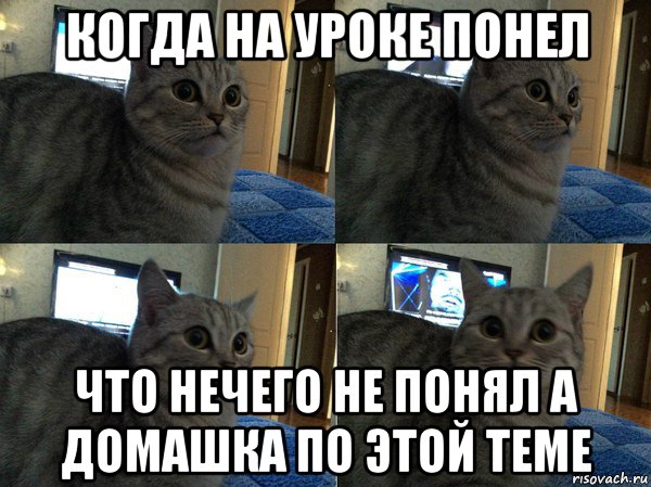 когда на уроке понел что нечего не понял а домашка по этой теме, Мем  Кот в шоке