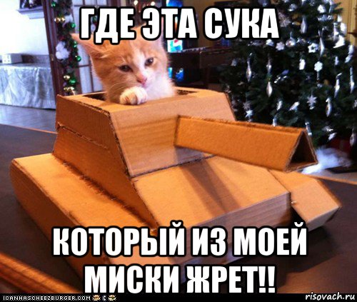 где эта сука который из моей миски жрет!!, Мем Котэ танкист