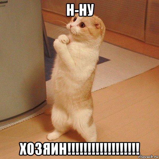 н-ну хозяин!!!!!!!!!!!!!!!!!!, Мем  котэ молится