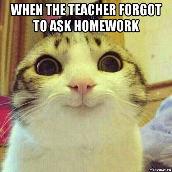 when the teacher forgot to ask homework , Мем       Котяка-улыбака