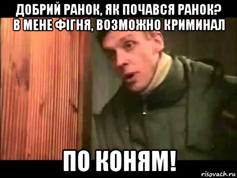 добрий ранок, як почався ранок? в мене фiгня, возможно криминал по коням!, Мем Ларин по коням