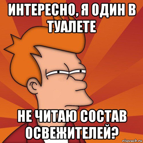 интересно, я один в туалете не читаю состав освежителей?, Мем Мне кажется или (Фрай Футурама)