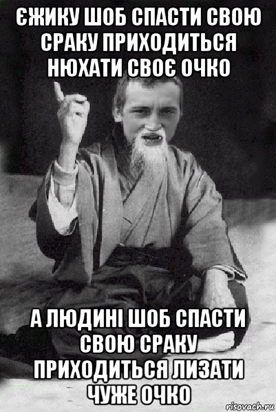 єжику шоб спасти свою сраку приходиться нюхати своє очко а людині шоб спасти свою сраку приходиться лизати чуже очко, Мем Мудрий паца