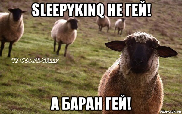 sleepykinq не гей! а баран гей!, Мем  Наивная Овца