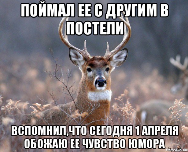 поймал ее с другим в постели вспомнил,что сегодня 1 апреля обожаю ее чувство юмора, Мем   Наивный олень