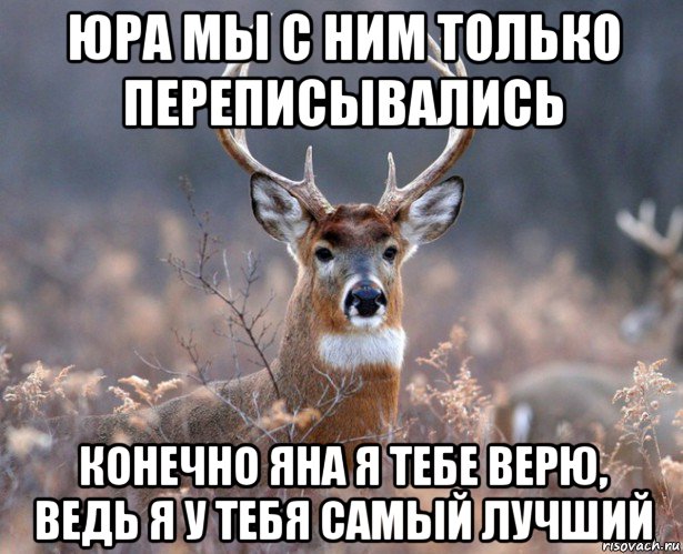 юра мы с ним только переписывались конечно яна я тебе верю, ведь я у тебя самый лучший, Мем   Наивный олень