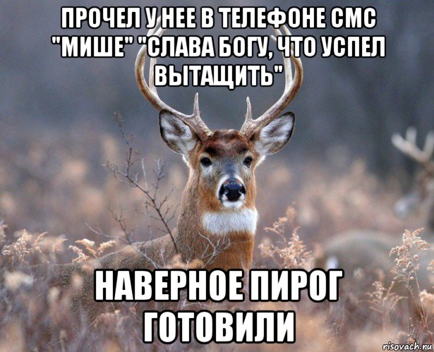 прочел у нее в телефоне смс "мише" "слава богу, что успел вытащить" наверное пирог готовили, Мем   Наивный олень