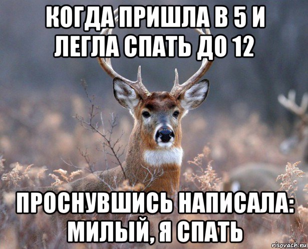 когда пришла в 5 и легла спать до 12 проснувшись написала: милый, я спать, Мем   Наивный олень