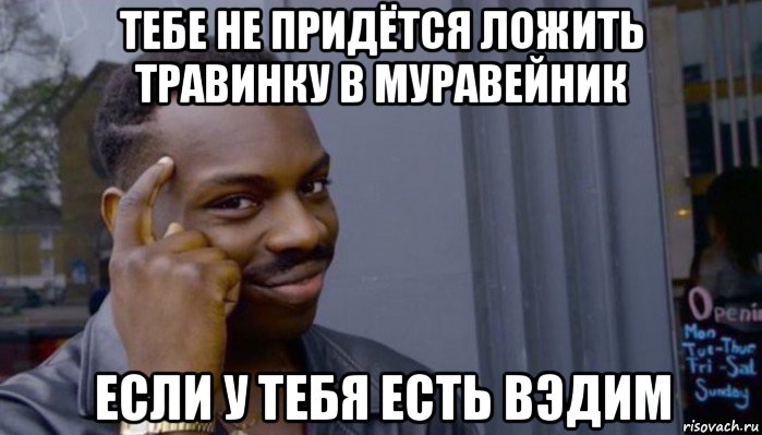 тебе не придётся ложить травинку в муравейник если у тебя есть вэдим, Мем Не делай не будет