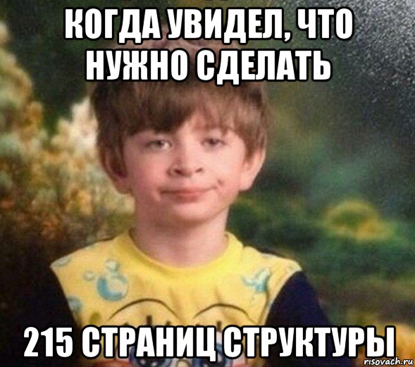 когда увидел, что нужно сделать 215 страниц структуры, Мем Недовольный пацан