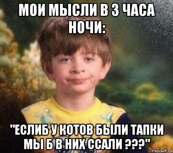 мои мысли в 3 часа ночи: "еслиб у котов были тапки мы б в них ссали ???", Мем Недовольный пацан