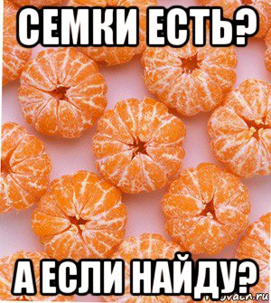 семки есть? а если найду?, Мем  НОВОГОДНИЕ СЕМКИ