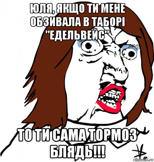 юля, якщо ти мене обзивала в таборі "едельвейс" то ти сама тормоз блядь!!!, Мем Ну почему (девушка)