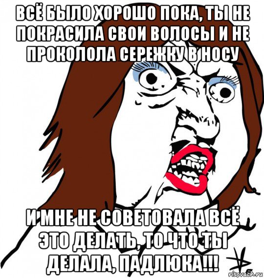 всё было хорошо пока, ты не покрасила свои волосы и не проколола сережку в носу и мне не советовала всё это делать, то что ты делала, падлюка!!!, Мем Ну почему (девушка)