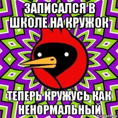 записался в школе на кружок теперь кружусь как ненормальный, Мем Омская птица