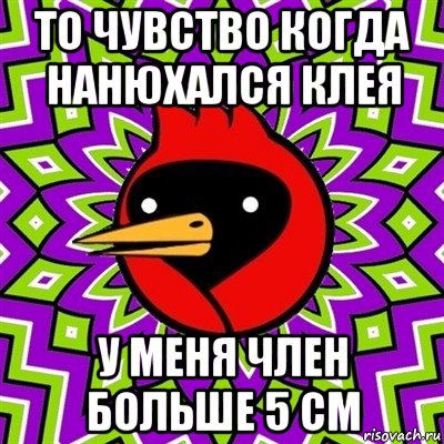 то чувство когда нанюхался клея у меня член больше 5 см, Мем Омская птица