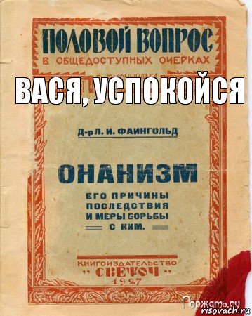 вася, успокойся