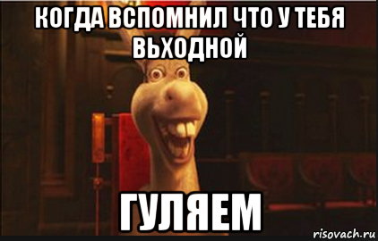 когда вспомнил что у тебя вьходной гуляем, Мем Осел из Шрека