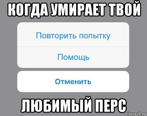 когда умирает твой любимый перс