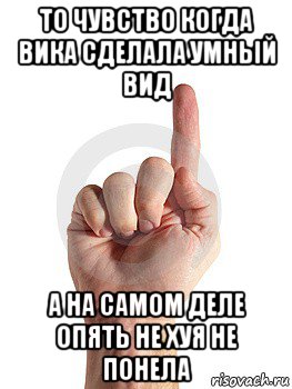 то чувство когда вика сделала умный вид а на самом деле опять не хуя не понела