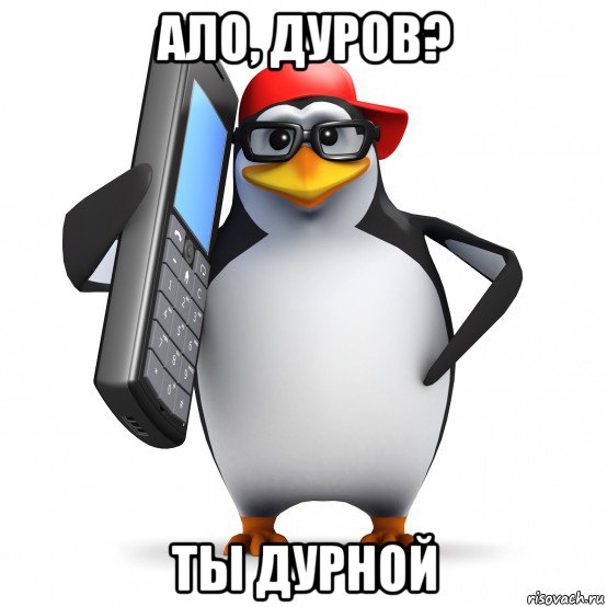 ало, дуров? ты дурной, Мем   Пингвин звонит