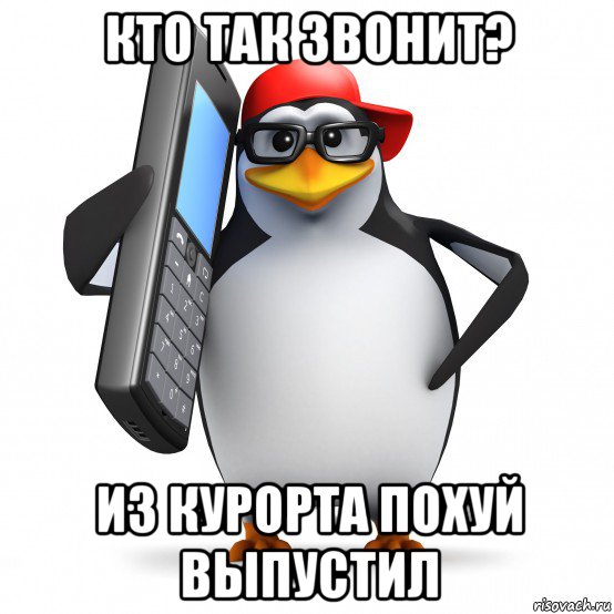 кто так звонит? из курорта похуй выпустил, Мем   Пингвин звонит