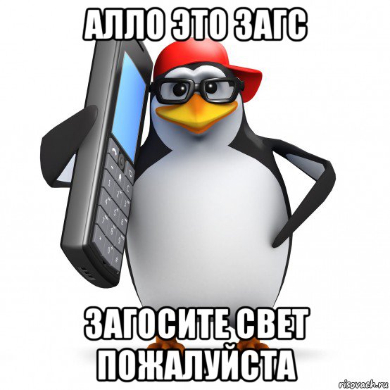 алло это загс загосите свет пожалуйста, Мем   Пингвин звонит