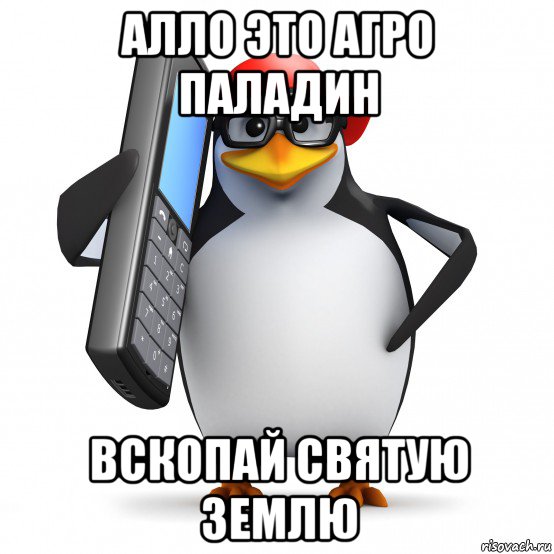 алло это агро паладин вскопай святую землю, Мем   Пингвин звонит