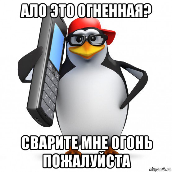 ало это огненная? сварите мне огонь пожалуйста, Мем   Пингвин звонит