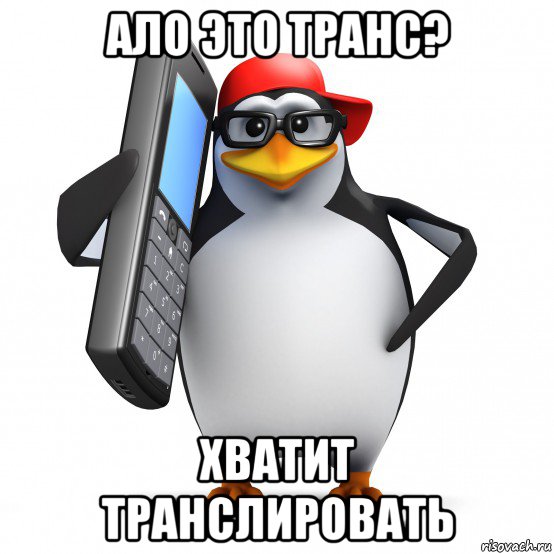 ало это транс? хватит транслировать, Мем   Пингвин звонит