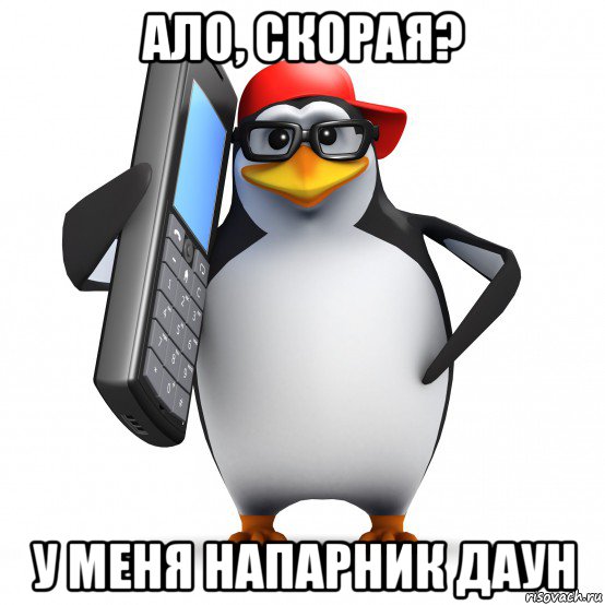 ало, скорая? у меня напарник даун, Мем   Пингвин звонит