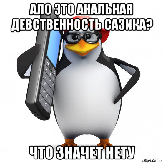 ало это анальная девственность сазика? что значет нету, Мем   Пингвин звонит