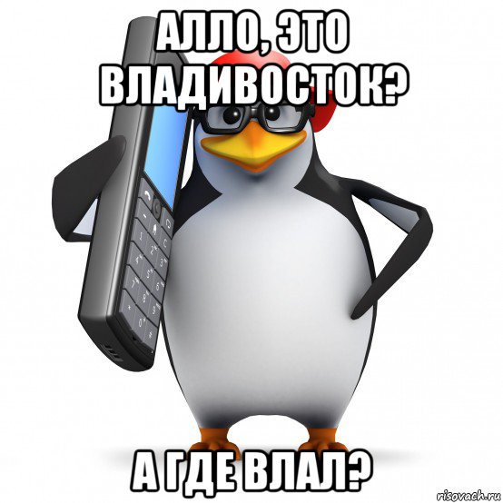 алло, это владивосток? а где влал?, Мем   Пингвин звонит