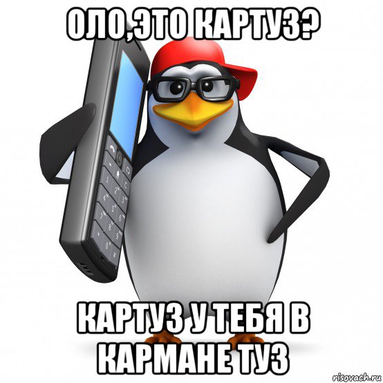 оло,это картуз? картуз у тебя в кармане туз, Мем   Пингвин звонит