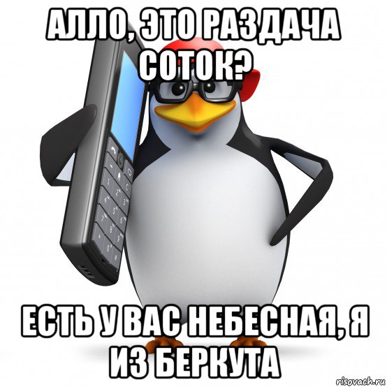 алло, это раздача соток? есть у вас небесная, я из беркута