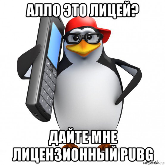 алло это лицей? дайте мне лицензионный pubg, Мем   Пингвин звонит