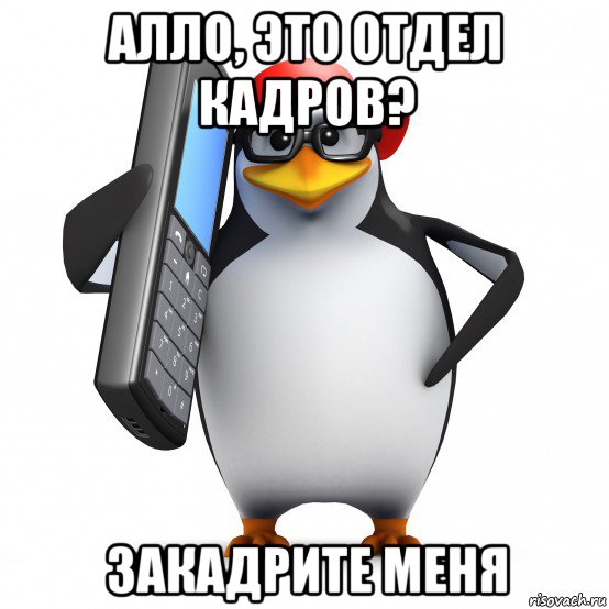 алло, это отдел кадров? закадрите меня, Мем   Пингвин звонит